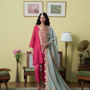 Rani Naved Suit